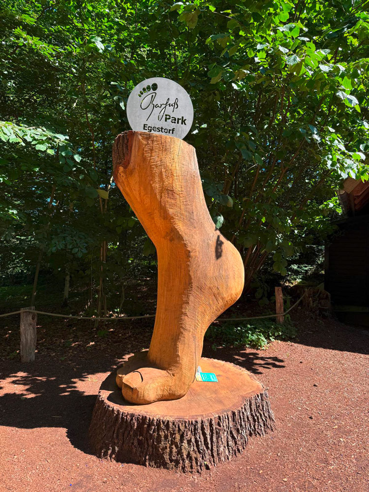 Mehr über den Artikel erfahren Ausflug in den Barfußpark